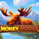 Money Moose