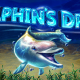 Dolphin's Dream