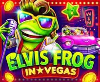 Elvis Frog in Vegas